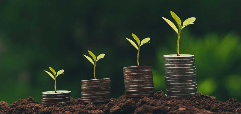 coins and plants growing on top of soil