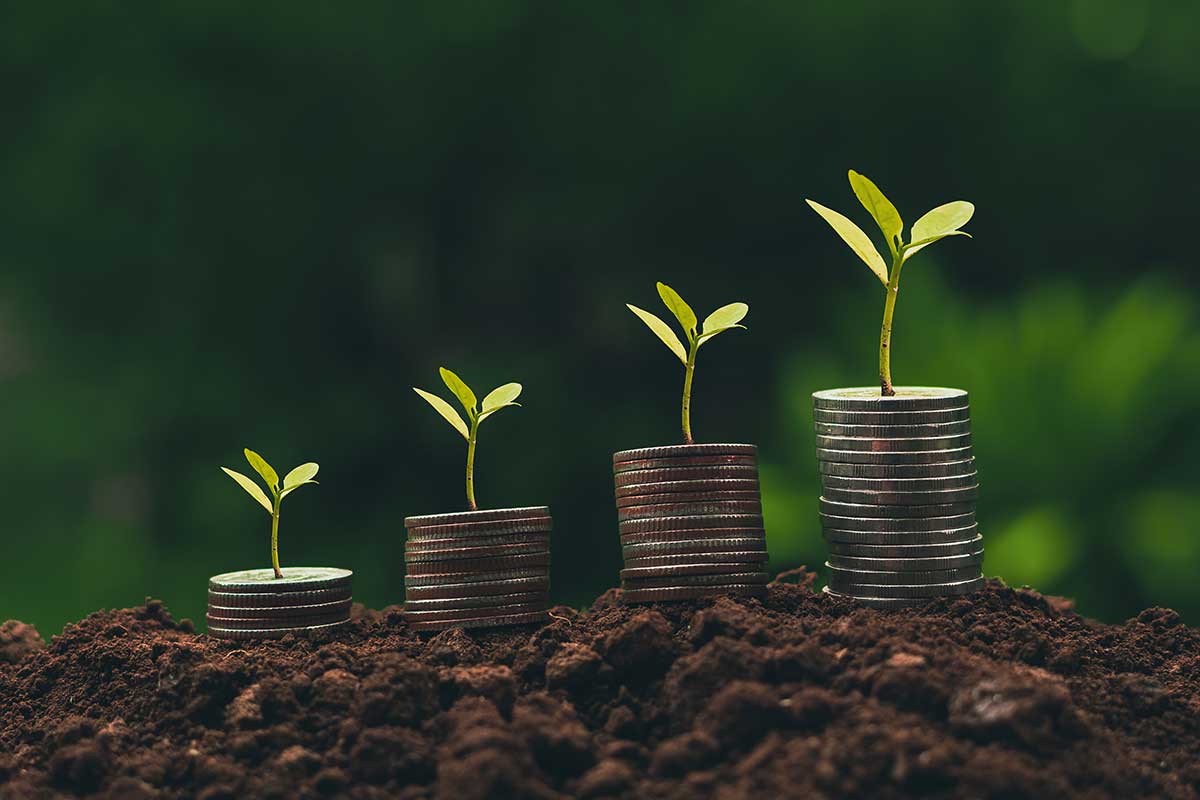 How Much Should A Fraction CMO Cost